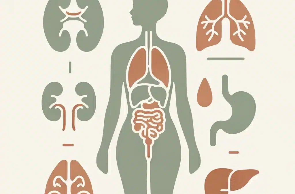 🌱 Émonctoires et Toxines: Nettoie ton Corps Naturellement grâce à la naturopathie 🌱