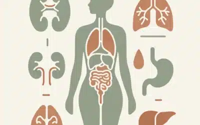 Émonctoires et Toxines: Nettoie ton Corps Naturellement grâce à la naturopathie