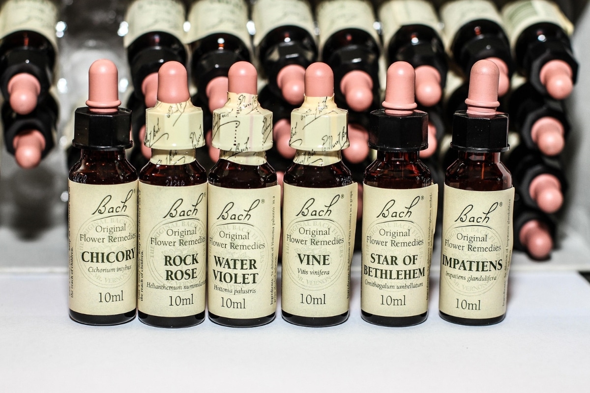 bouteilles de fleurs de bach utilisées lors de la formation aux fleurs de bach