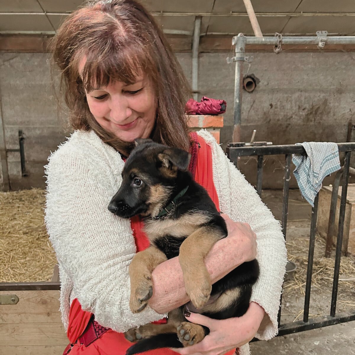 formation naturopathie pour animaux